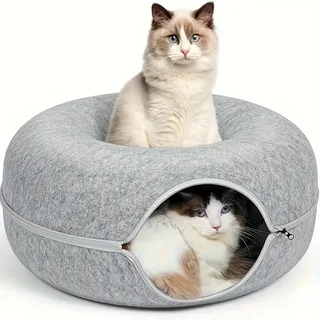 cat tunnel house