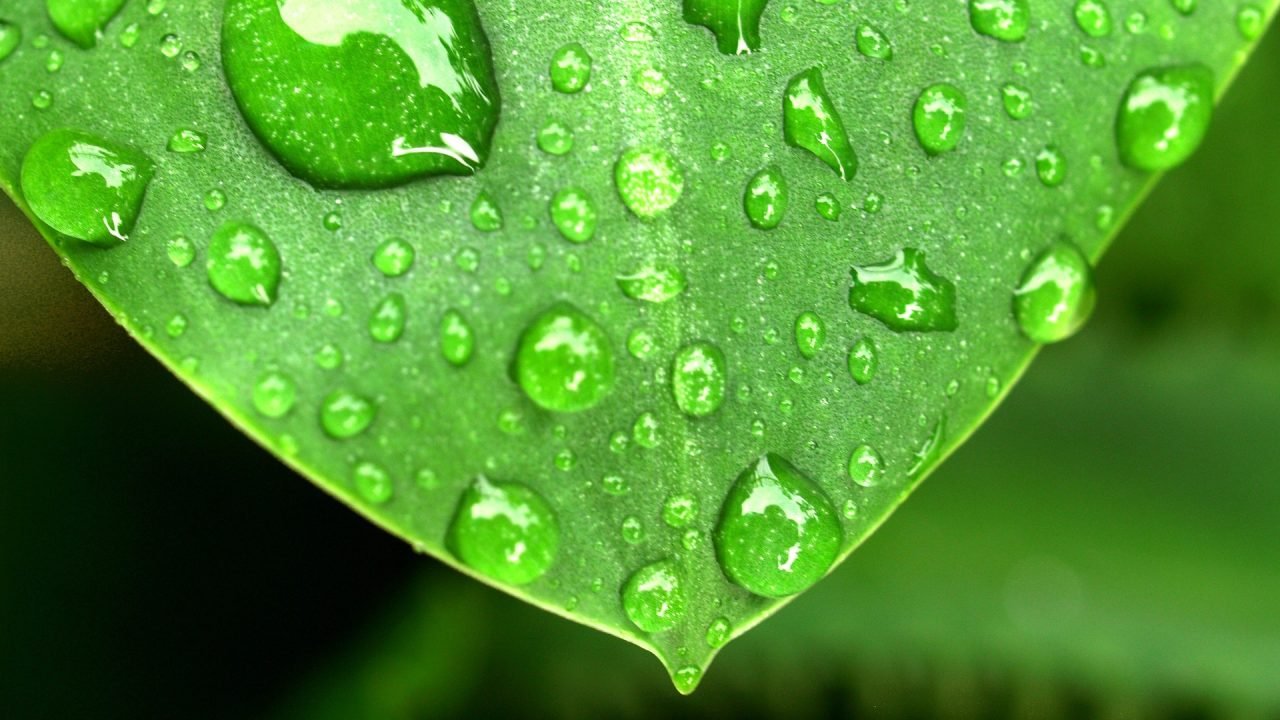 dew point calculator