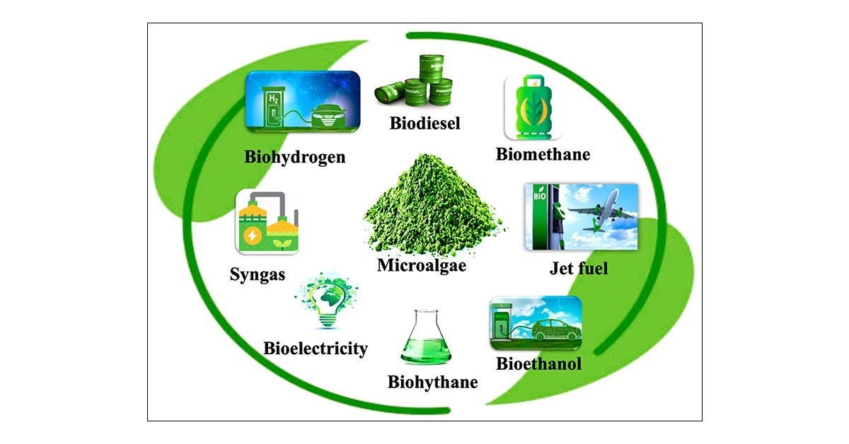 Algae Biofuel Market