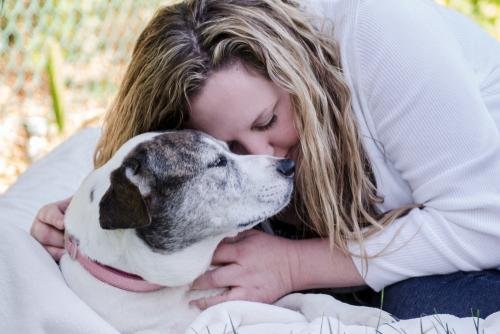 in home pet euthanasia Knoxville