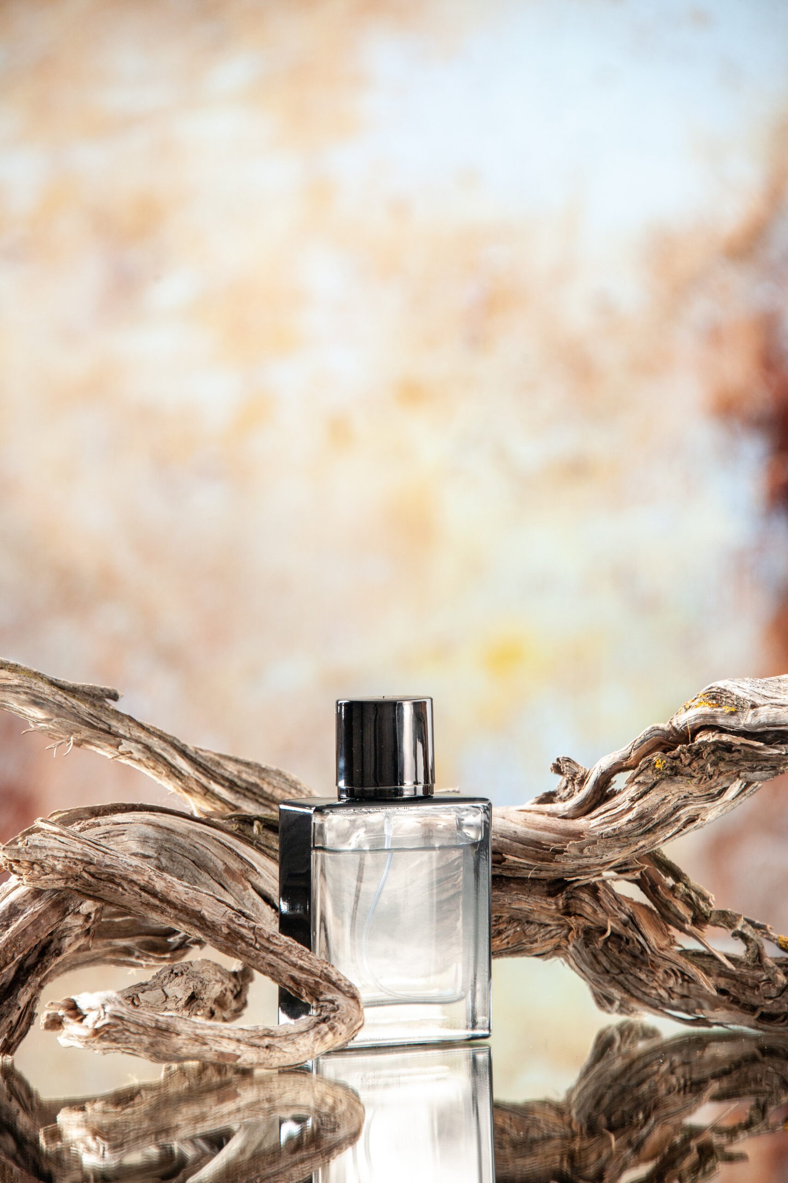 best perfumes