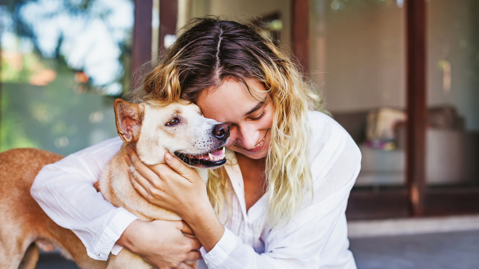 pet euthanasia at home
