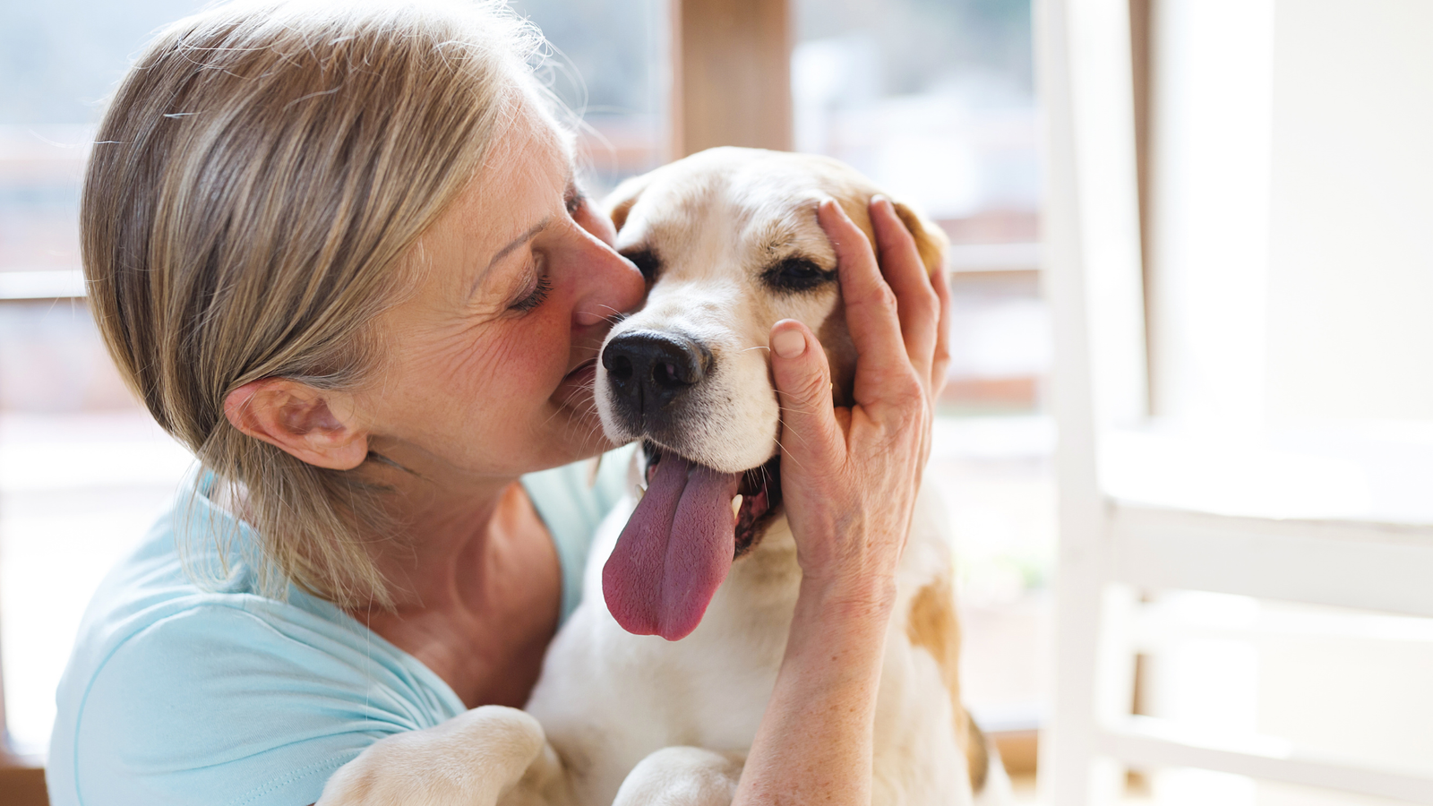 at home euthanasia seattle