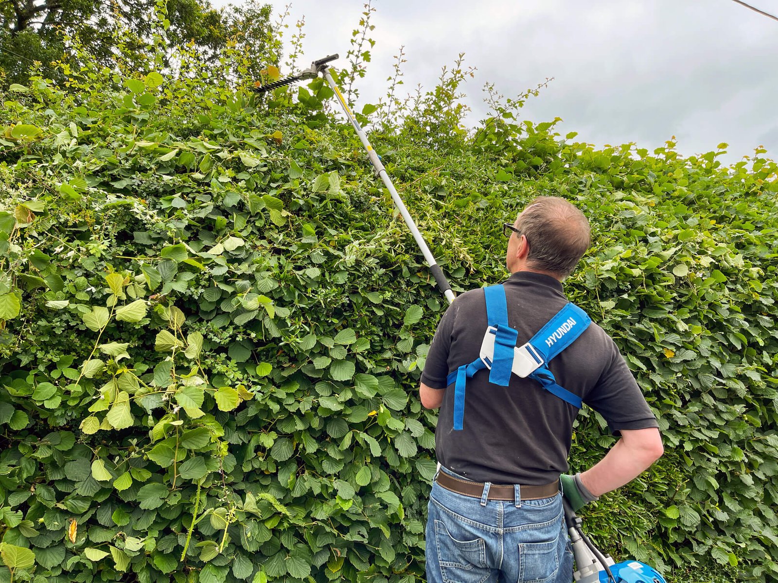 Stump grinding in Wolverhampton