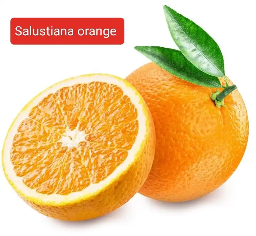 https://dogargardens.com/product/salustiana-orange-plants/