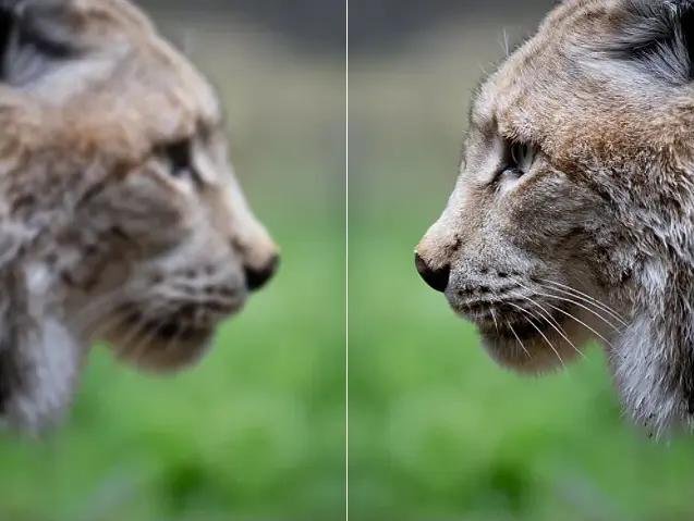 enhance